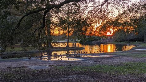 lafreniere park|lafreniere park jefferson.